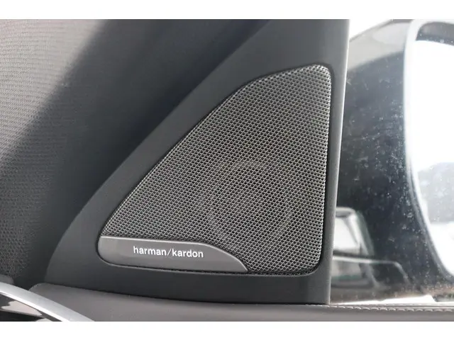 BMW X6 M50i High Executive 2021 Benzine 38