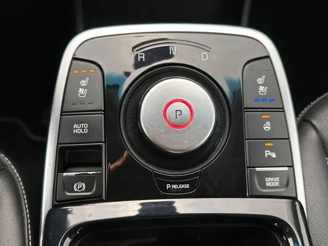 Kia e-Niro ExecutiveLine 64 kWh 2020 Elektrisch 22