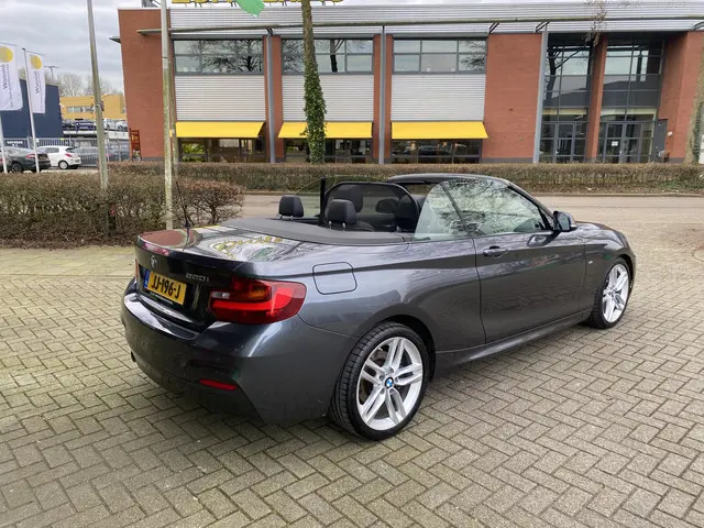 BMW 2 Serie Cabrio 220i M-Sport Leer 2016 Benzine 5