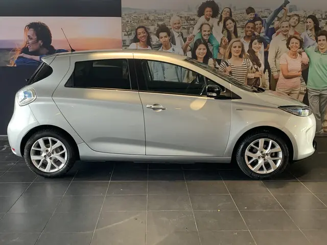 Renault ZOE R110 Limited 41 kWh (ex Accu) 2019 Elektrisch 16