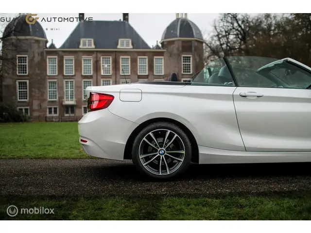 BMW 2 Serie Cabrio | 2018 Benzine 16