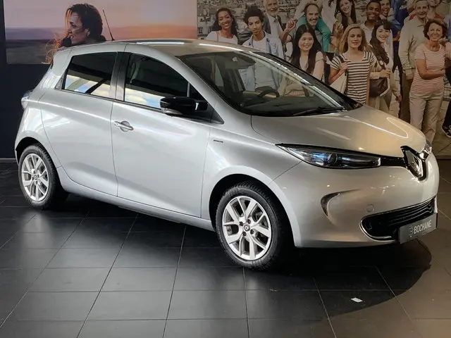 Renault ZOE R110 Limited 41 kWh (ex Accu) 2019 Elektrisch 5