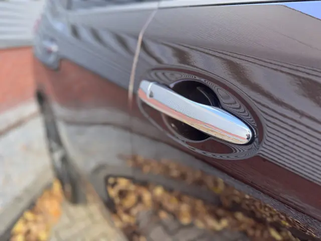 Nissan X-Trail 1.3 DIG-T N-Connecta 2019 Benzine 19