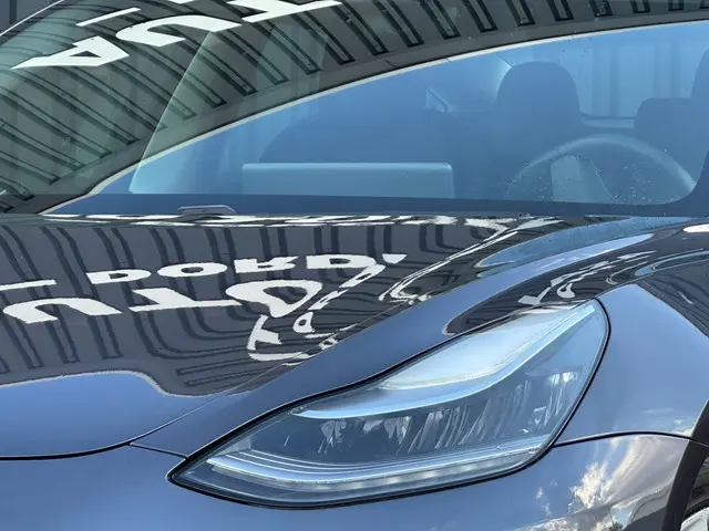 Tesla Model 3 Standard RWD Plus 60 kWh 2019 Elektrisch 5
