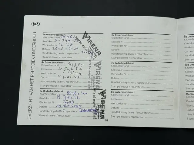 Kia e-Niro Edition 64 kWh 2021 Elektrisch 44