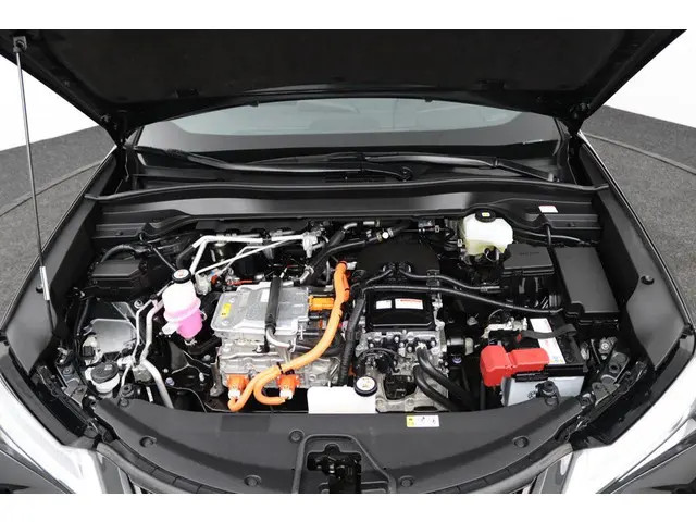 Lexus UX 300e Business 54 kWh 2020 Elektrisch 31