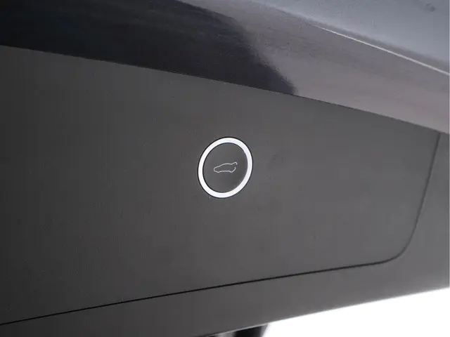 Tesla Model X 100D AWD [ 3-Fase ] 2018 Elektrisch 25