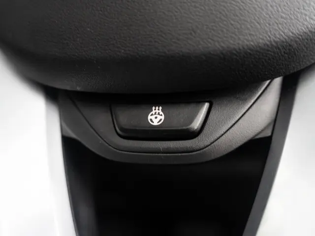 BMW X3 xDrive30e 2022 Hybride Benzine 26