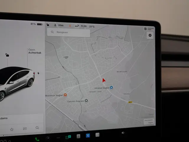 Tesla Model 3 Standard RWD Plus 60 kWh 2021 Elektrisch 31