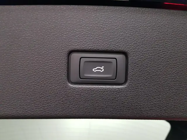 Audi RSQ8 RQ8 4.0 TFSI Quattro 600pk! 2021 Benzine 30