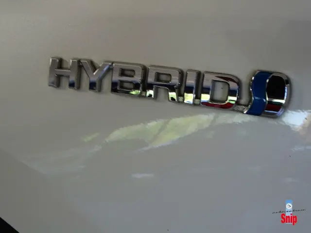 Toyota RAV4 2.5 Hybrid Energy Plus 2018 Hybride Benzine 30