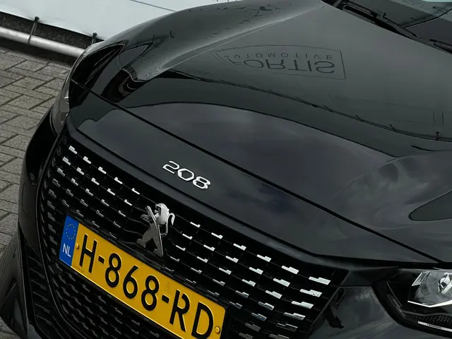 Peugeot 208 1.2 PureTech Blue Lease Active 2020 Benzine 23
