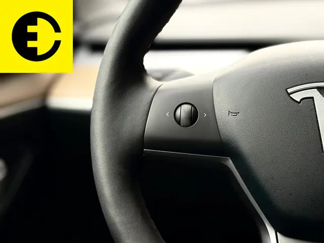 Tesla Model 3 Standard RWD Plus 60 kWh 2021 Elektrisch 21