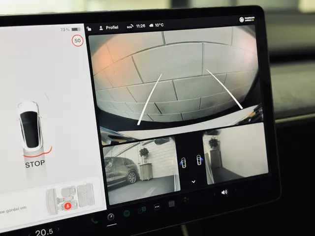 Tesla Model 3 Performance AWD 75 kWh 2019 Elektrisch 21