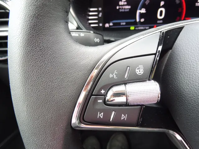 Škoda Fabia 1.0 TSI Business Edition 2023 Benzine 24