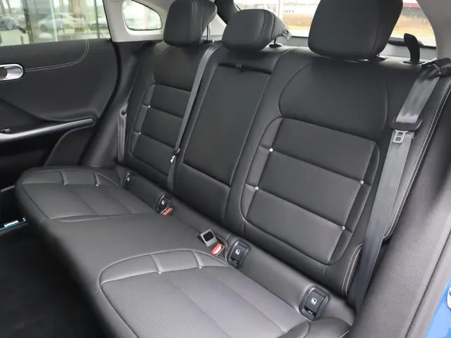 Smart #3 Premium 66 kWh 2025 Elektrisch 12