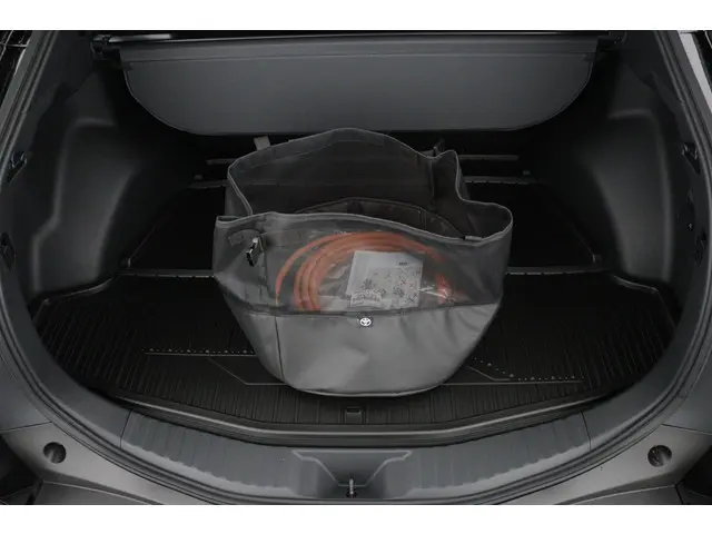 Toyota bZ4X Dynamic 73 kWh 2025 Elektrisch 33