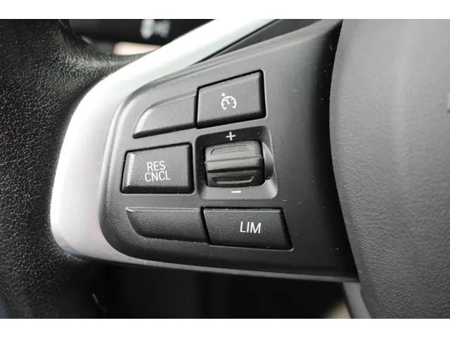 BMW X1 sDrive20i VDL Nedcar Edition 2020 Benzine 31