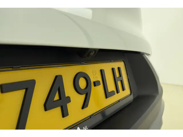 Renault Kadjar 1.3 TCe Intens 2020 Benzine 10