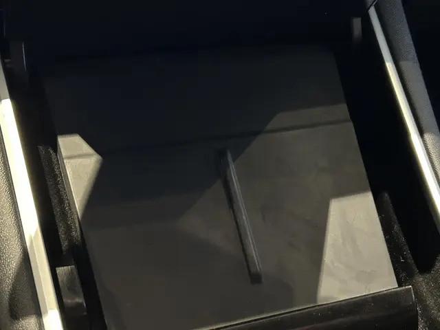 Tesla Model 3 Standard RWD Plus 60 kWh 2020 Elektrisch 25