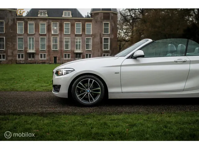 BMW 2 Serie Cabrio | 2018 Benzine 12