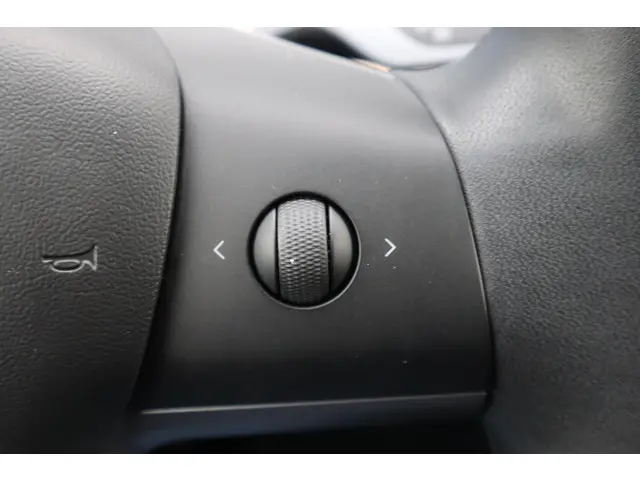 Tesla Model 3 Long Range AWD 75 kWh 2019 Elektrisch 27