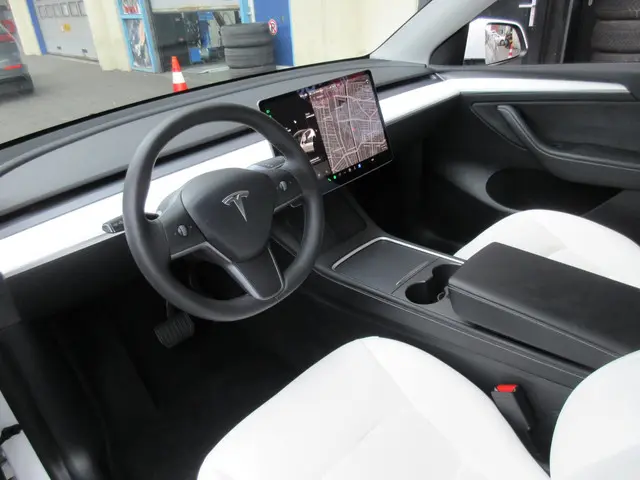 Tesla Model Y Long Range AWD 75 kWh 2021 Elektrisch 9