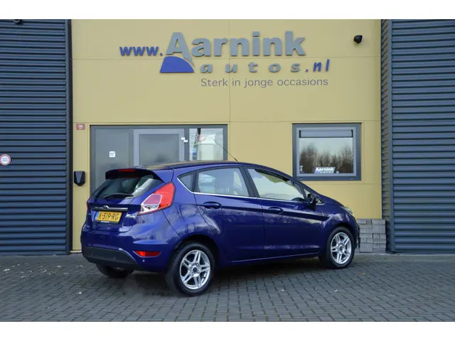 Ford Fiesta 1,0 Ecob. Titanium 100pk 2013 Benzine 4