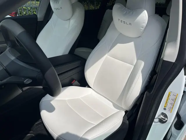Tesla Model Y RWD 58 kWh 2022 Elektrisch 25