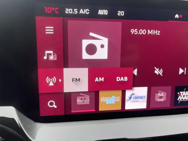 Citroën C5 X 1.2 PureTech Business 2022 Benzine 32