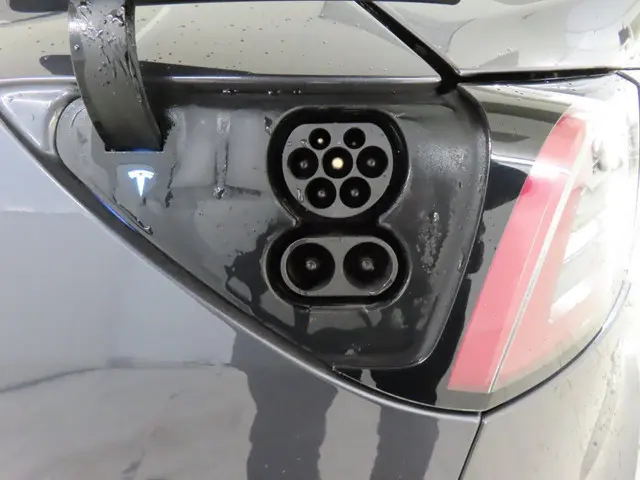 Tesla Model 3 Standard RWD Plus 60 kWh 2020 Elektrisch 15