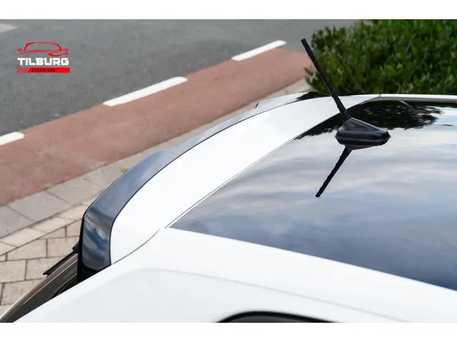 Volkswagen Polo 2.0 TSI GTI | ACC | NAVI | LED 2020 Benzine 13