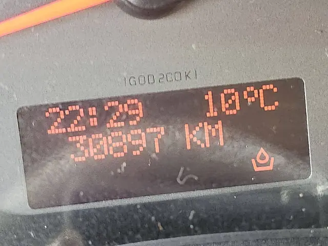 Opel Movano 2.3 2019 Diesel 9