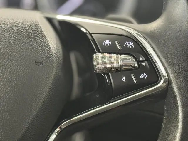 Škoda Kodiaq 1.5 TSI Business Edition 2022 Benzine 27