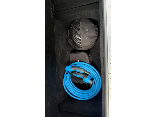 Tesla Model X 75D Base 2018 Elektrisch 10