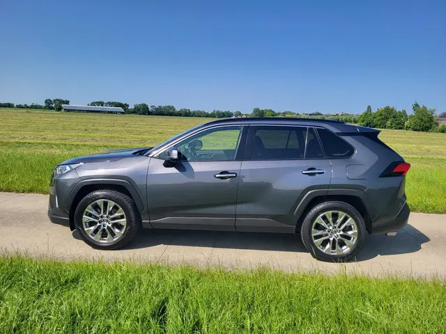 Toyota RAV4 2.0 VVT-iE Executive 2019 Benzine 9