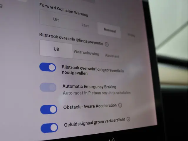 Tesla Model 3 Standard RWD Plus 60 kWh 2019 Elektrisch 39