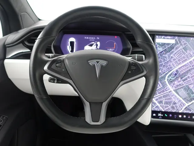 Tesla Model X Long Range Black Pack- 2019 Elektrisch 15