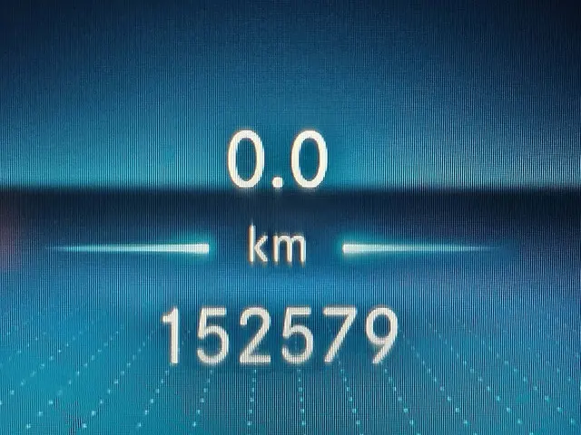 Mercedes-Benz Sprinter 211 2019 Diesel 9