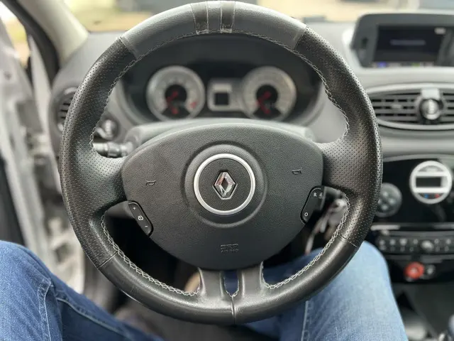 Renault Clio 1.6 GT GORDINI SERIE PANO 2012 Benzine 25