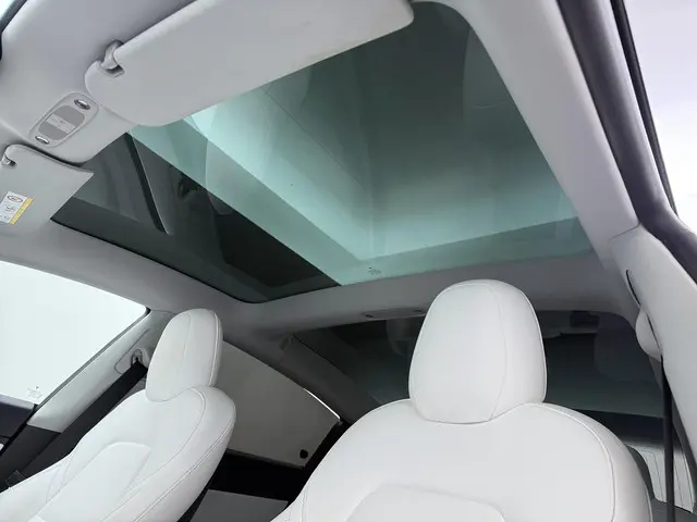 Tesla Model 3 Performance AWD 75 kWh 2019 Elektrisch 19