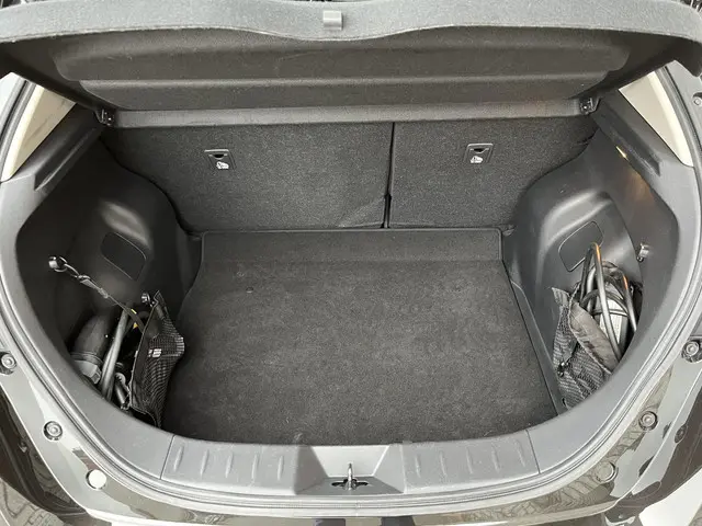 Nissan Leaf e+ N-Connecta 62 kWh 2021 Elektrisch 9