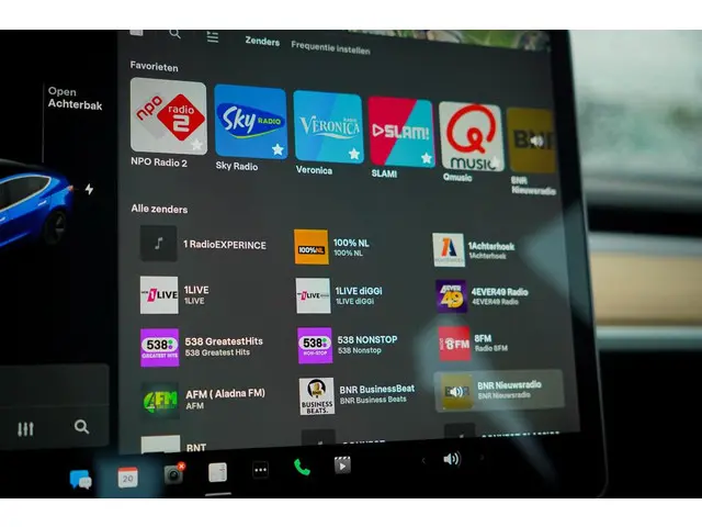 Tesla Model 3 Standard RWD Plus 60 kWh 2019 Elektrisch 24