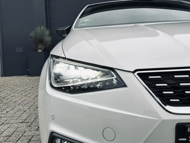 SEAT Ibiza 1.0 TGI/TSI FR Business Intense 2019 Benzine 23