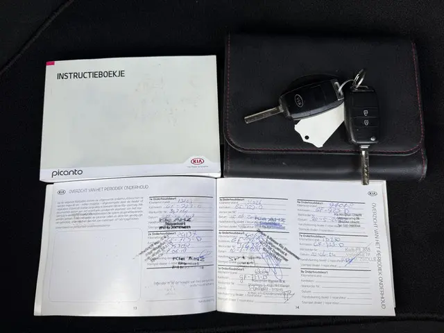 Kia Picanto 1.0 CVVT ComfortLine 2015 Benzine 18