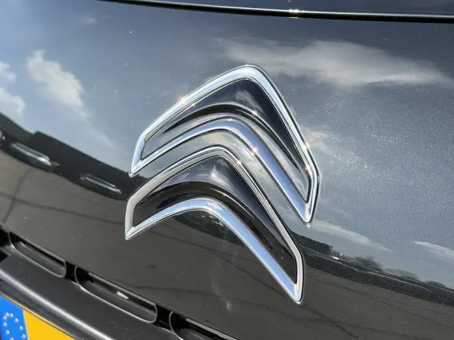 Citroën C4 Cactus 1.2 PureTech Business 2017 Benzine 38