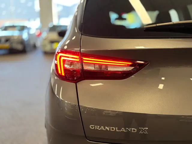 Opel Grandland X 1.2 Turbo 2020 Benzine 12