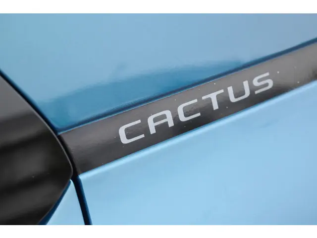 Citroën C4 Cactus PureTech 110 Shine 2018 Benzine 15