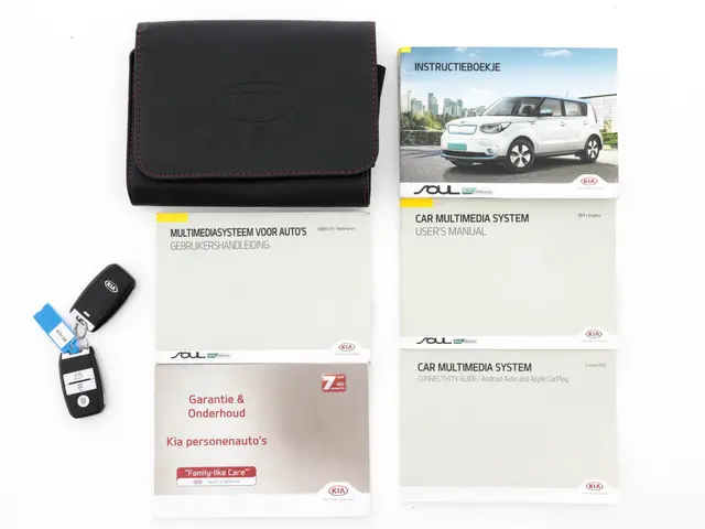 Kia e-Soul EV Executive Plus Line {SOH-95%} 2017 Elektrisch 30