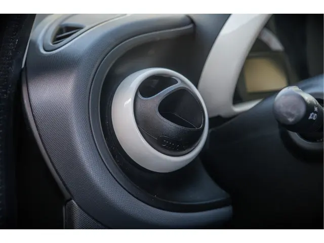 Smart Forfour 1.0 Pure 2017 Benzine 21